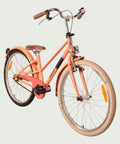 24.2220 kinderfiets - BikeFlip