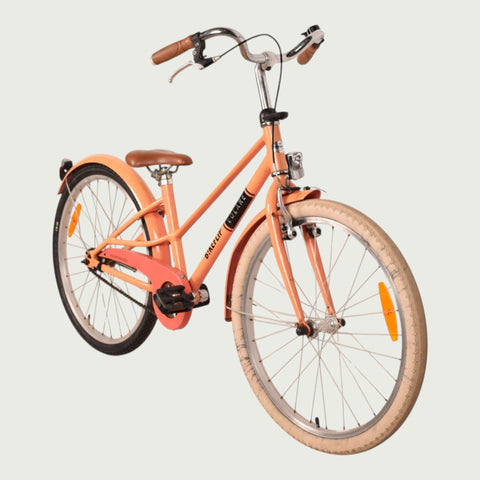 24.2220 kinderfiets - BikeFlip