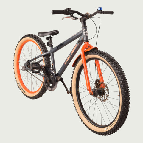 24.2234 kinderfiets - BikeFlip