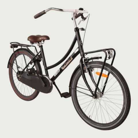 24.2316 kinderfiets - BikeFlip
