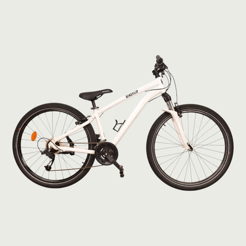 26.1102 - BikeFlip