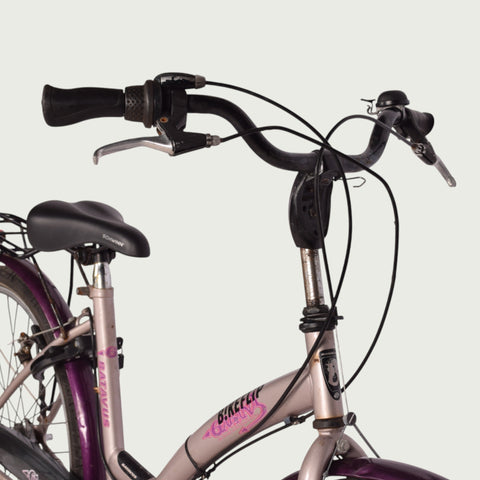 26.113 kinderfiets - BikeFlip