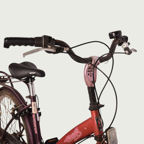 26.1169 - BikeFlip