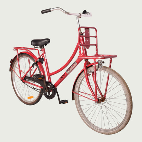 26.2009 kinderfiets - BikeFlip