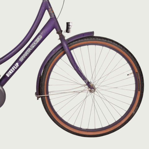 26.2017 kinderfiets - BikeFlip