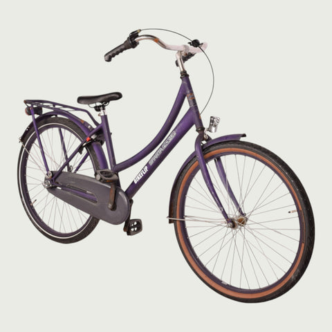 26.2017 kinderfiets - BikeFlip