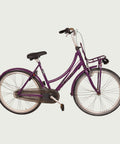 26.2231 kinderfiets - BikeFlip