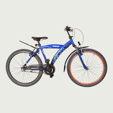 26.2453 kinderfiets - BikeFlip