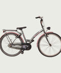 26.291 kinderfiets - BikeFlip