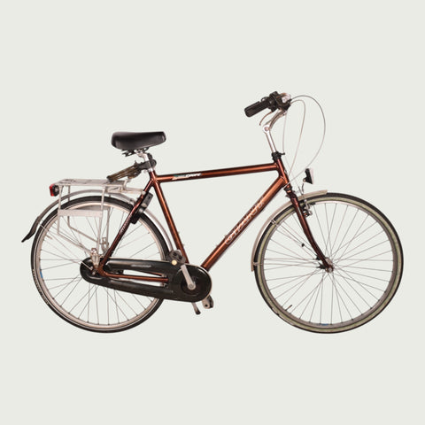 28.3318 - BikeFlip