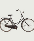 28.5051 kinderfiets - BikeFlip