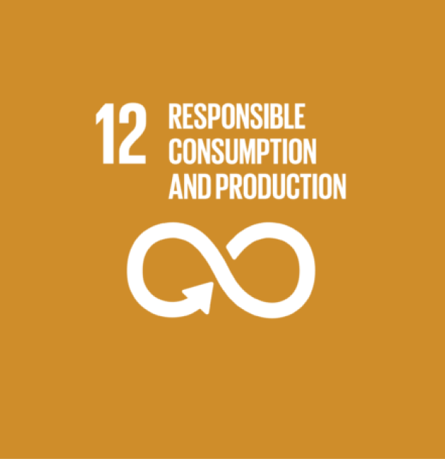 SDG Goal 12: Responsible Consumption and Production