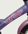 12.199 - BikeFlip