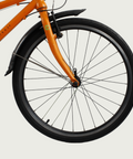 24.108 - BikeFlip
