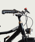 24.559 - BikeFlip