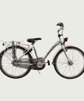 24.456 - BikeFlip