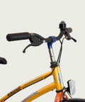 22.106 - BikeFlip