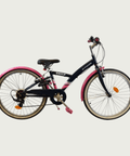 24.487 - BikeFlip