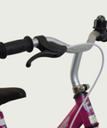 12.171 - BikeFlip, 12 inch roze fiets, kinderfiets, roze fiets, terugtraprem, geen versnellingen, kabelslot, bloemen thema