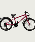 20.228 - BikeFlip