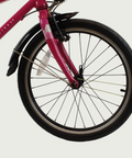 20.228 - BikeFlip