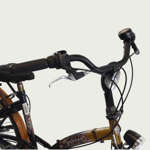26.359 - BikeFlip