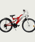 24.209 - BikeFlip