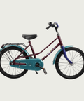 18.24 - BikeFlip