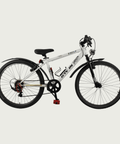 24.252 - BikeFlip