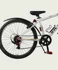 24.252 - BikeFlip